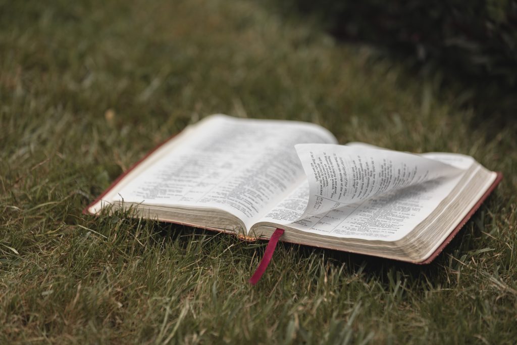 Image of an open Bible on the grass in Prayer 101 Post